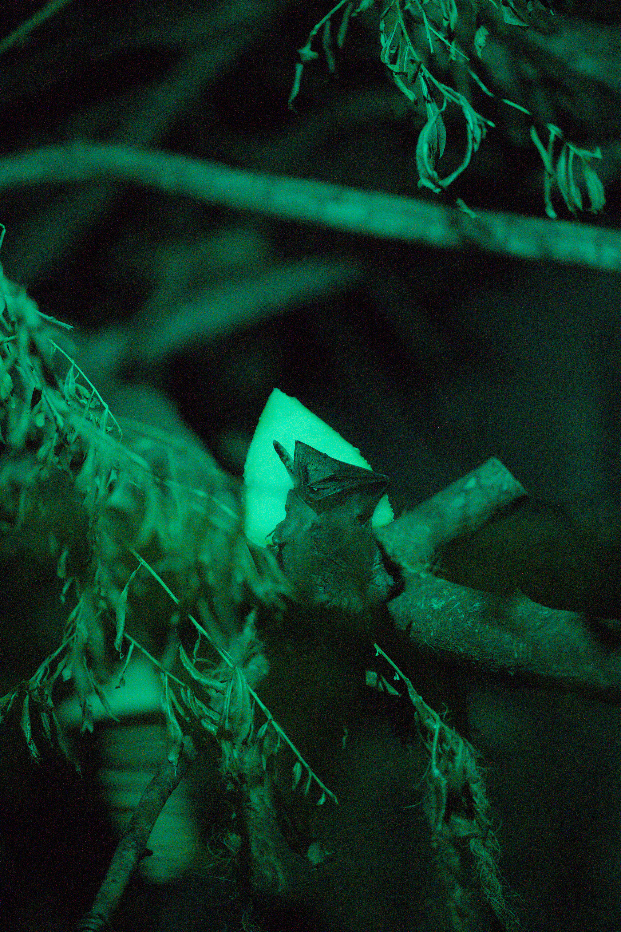 2025/10/12 - zoo/DSC_0271.jpg